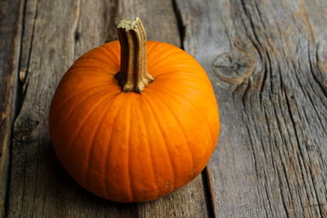 PumpkinSeeds (1 of 17)