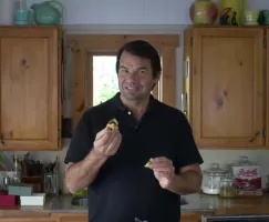 Nik_mini_fruit_nut_tarts